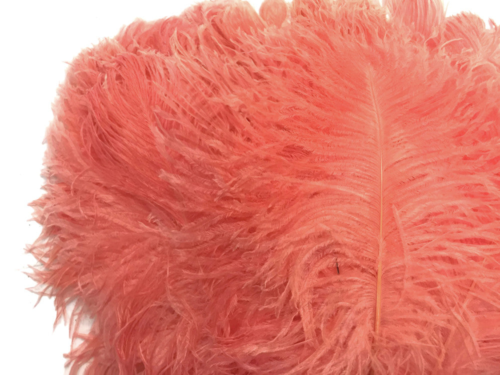 10 Pieces -  12-16" Apricot Dyed Ostrich Tail Fancy Feathers