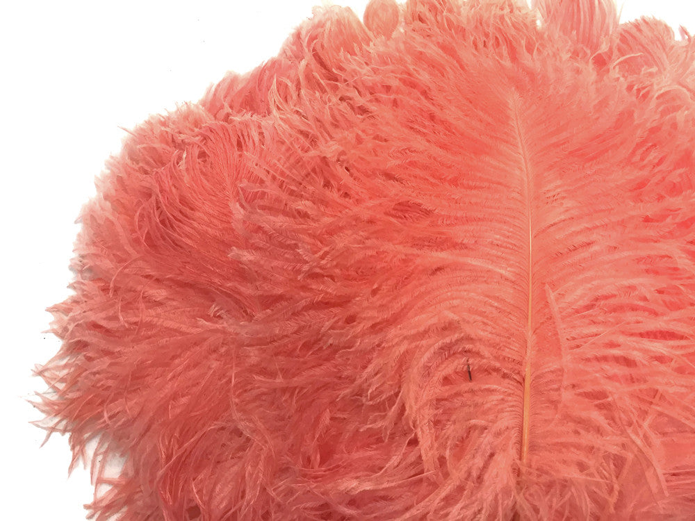 1/2 Lb - 12-16" Apricot Ostrich Tail Wholesale Fancy Feathers (Bulk)