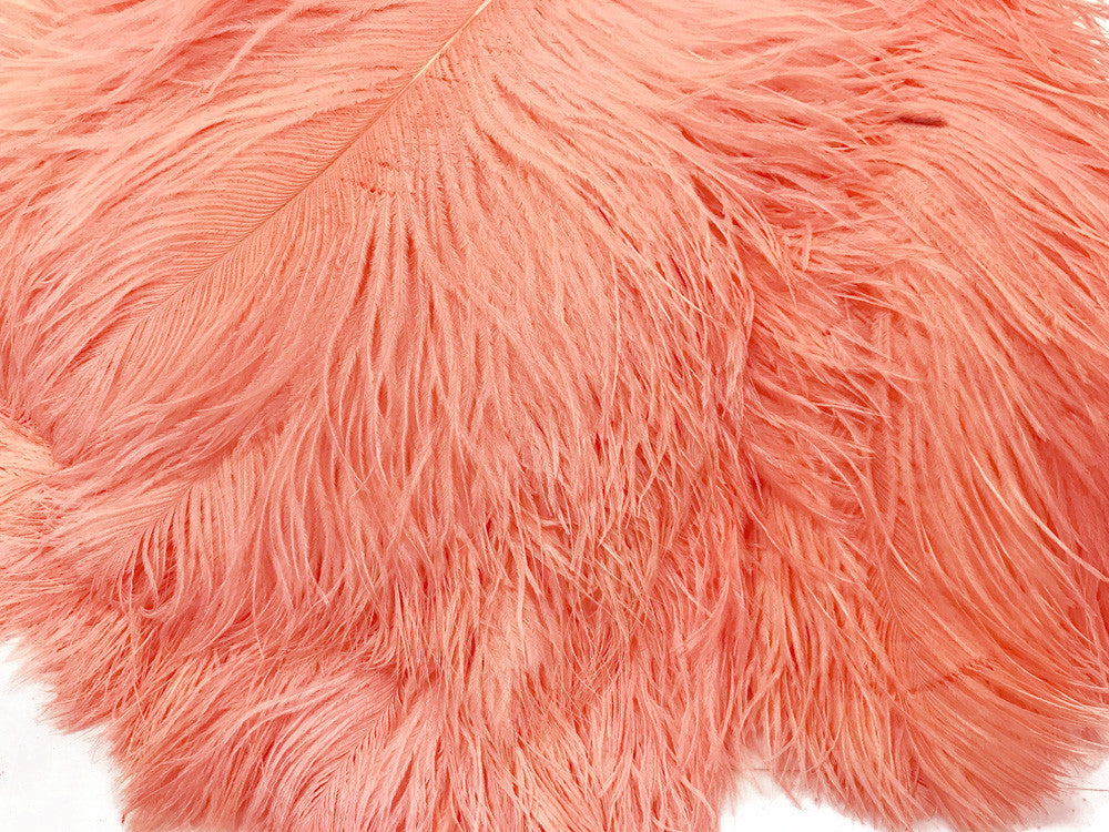 10 Pieces -  12-16" Apricot Dyed Ostrich Tail Fancy Feathers