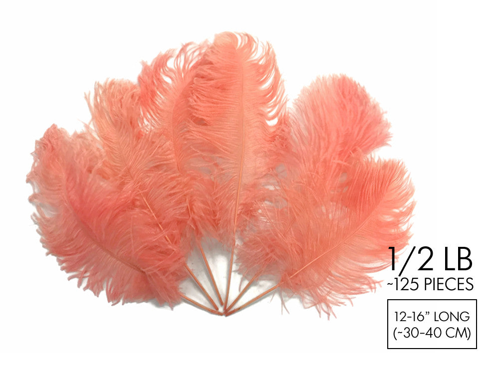 1/2 Lb - 12-16" Apricot Ostrich Tail Wholesale Fancy Feathers (Bulk)