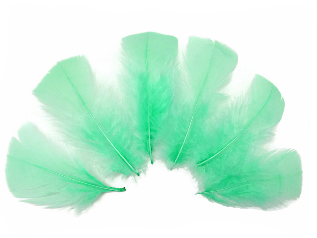 1 Pack - Aqua Green Dyed Turkey T-Base triangle Body Plumage Feathers 0.50 Oz.