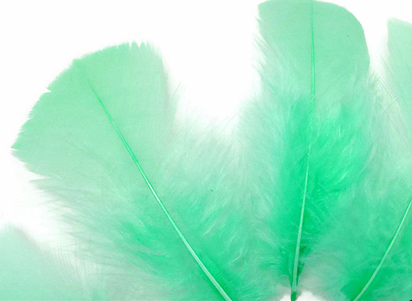 1 Pack - Aqua Green Dyed Turkey T-Base triangle Body Plumage Feathers 0.50 Oz.