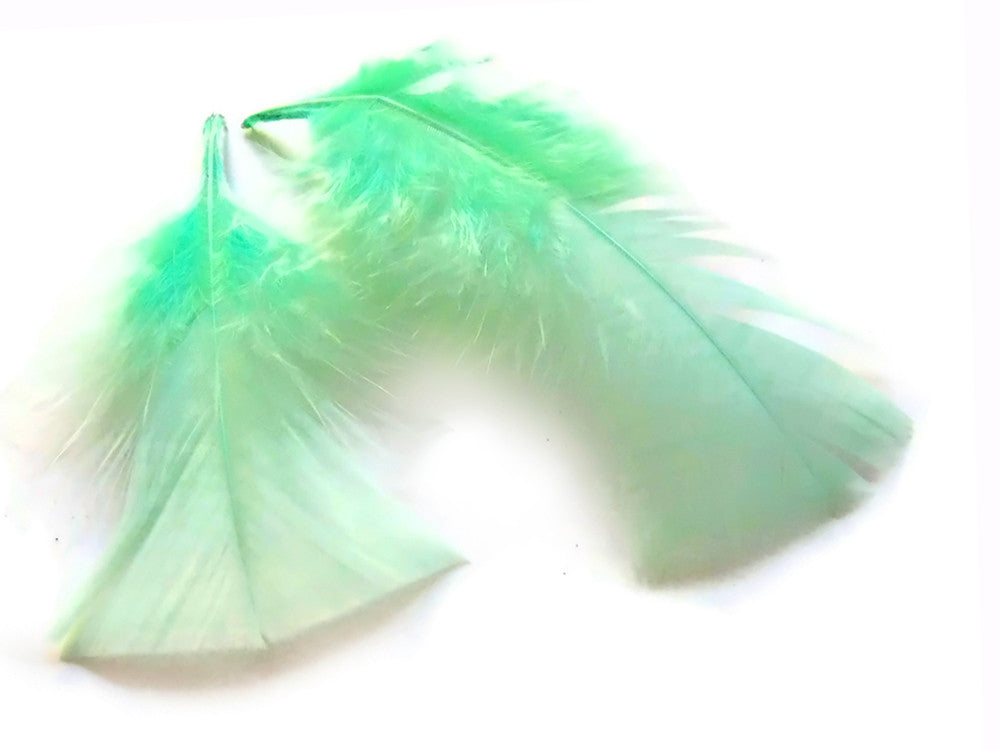 1/4 Lb - Aqua Turkey T-Base Plumage Wholesale Feathers (Bulk)