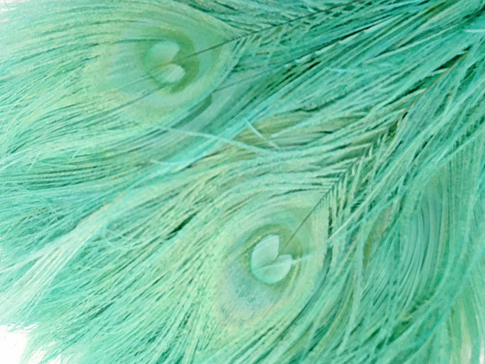 100 Pieces - Aqua Green Bleached & Dyed Peacock Tail Eye Wholesale Feathers (Bulk)