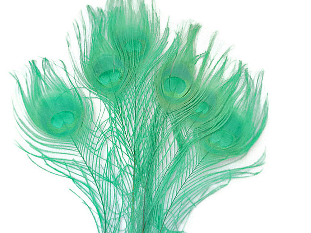 50 Pieces - Aqua Green Bleached & Dyed Peacock Tail Eye Wholesale Feathers (Bulk)