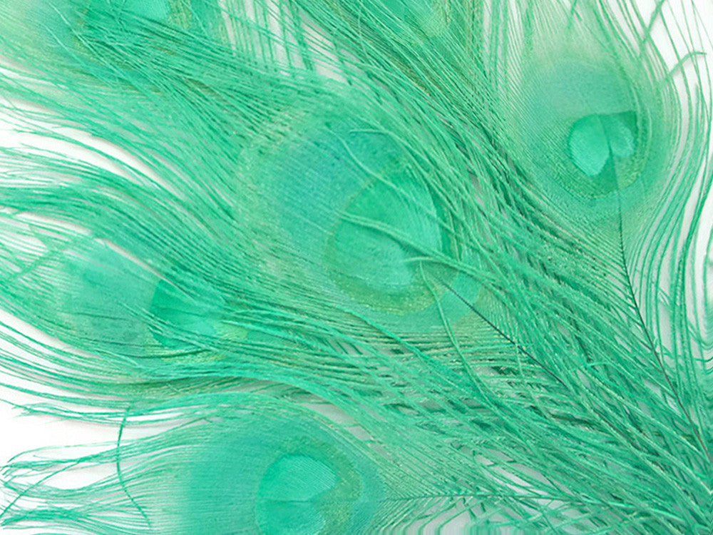 5 Pieces - Aqua Green Bleached & Dyed Peacock Tail Eye Feathers