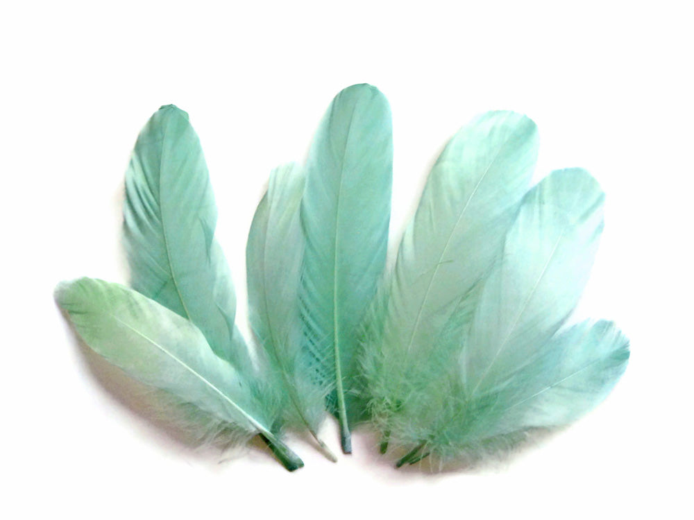 1/4 Lb. - Aqua Green Goose Nagoire Wholesale Feathers (Bulk)