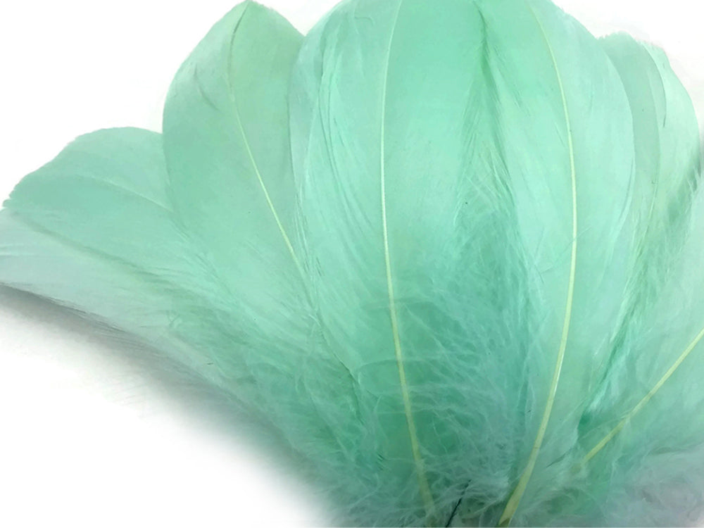 1/4 Lb. - Aqua Green Goose Nagoire Wholesale Feathers (Bulk)
