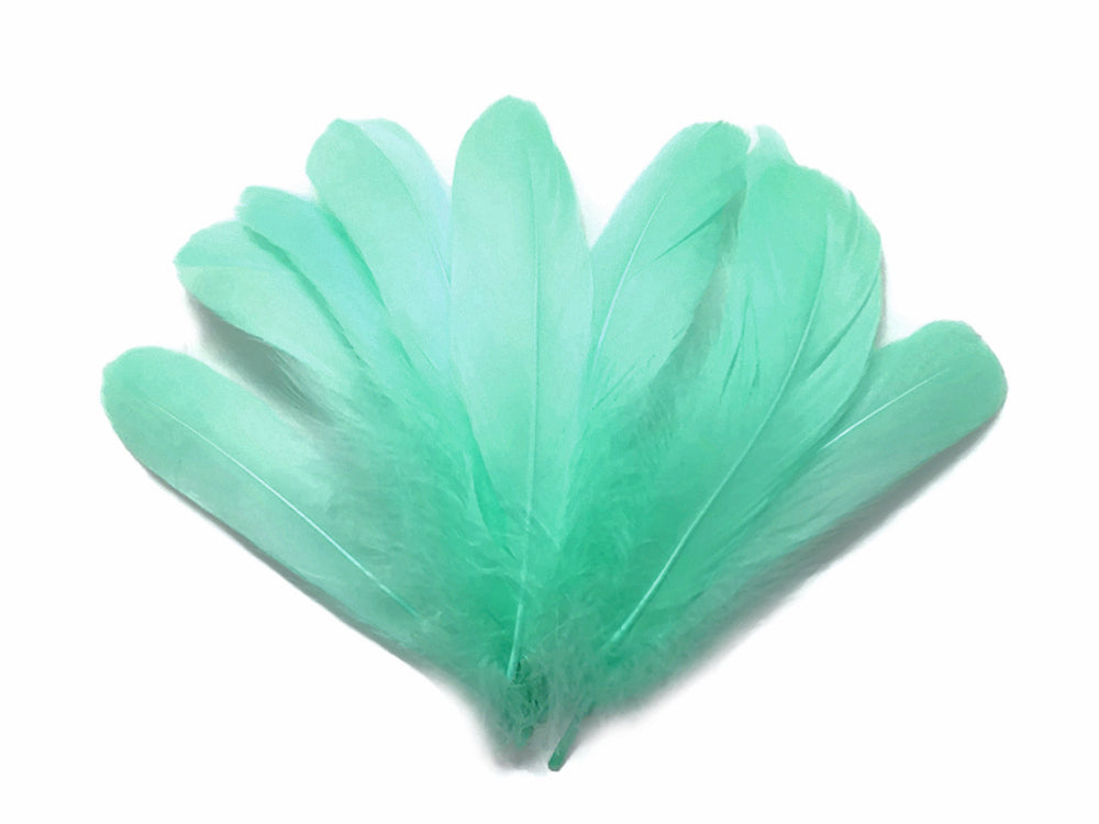 1/4 Lb. - Aqua Green Goose Nagoire Wholesale Feathers (Bulk)
