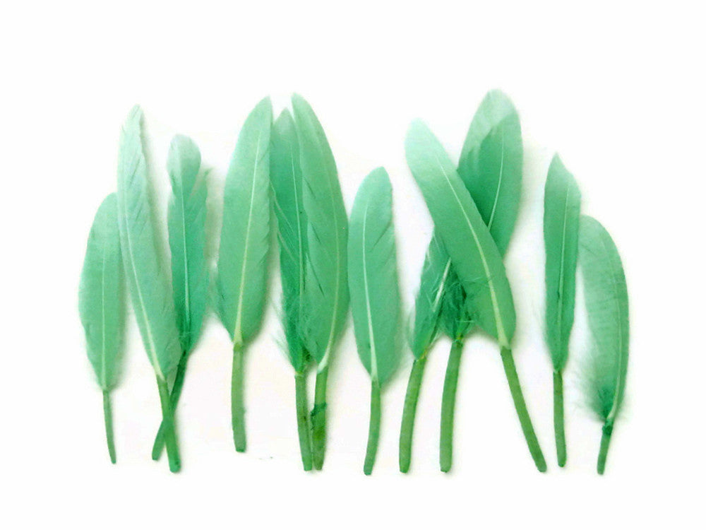 1/4 Lb. - Aqua Green Dyed Duck Cochettes Loose Wing Quill Wholesale Feather (Bulk)