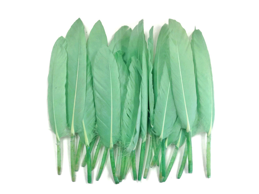 1/4 Lb. - Aqua Green Dyed Duck Cochettes Loose Wing Quill Wholesale Feather (Bulk)