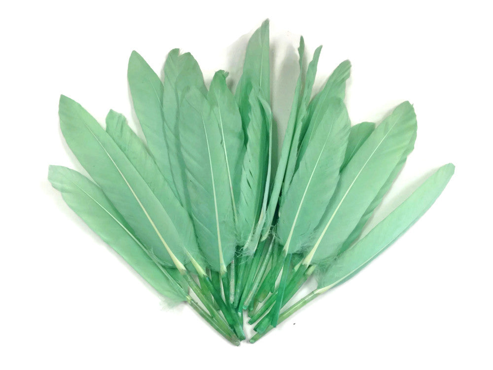 1/4 Lb. - Aqua Green Dyed Duck Cochettes Loose Wing Quill Wholesale Feather (Bulk)