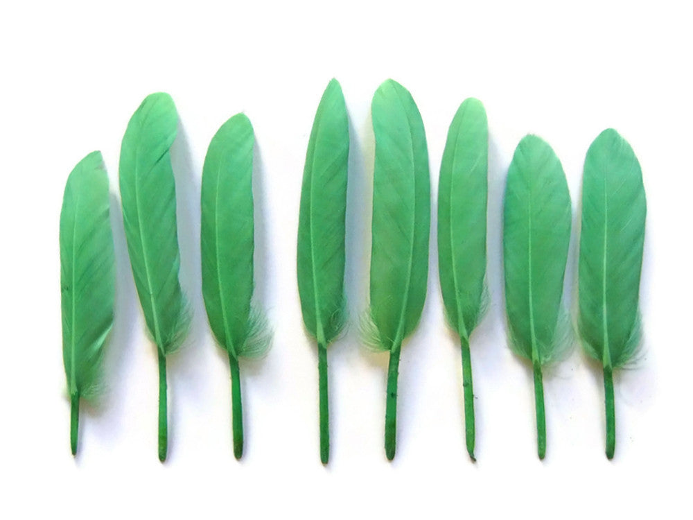 1/4 Lb. - Aqua Green Dyed Duck Cochettes Loose Wing Quill Wholesale Feather (Bulk)