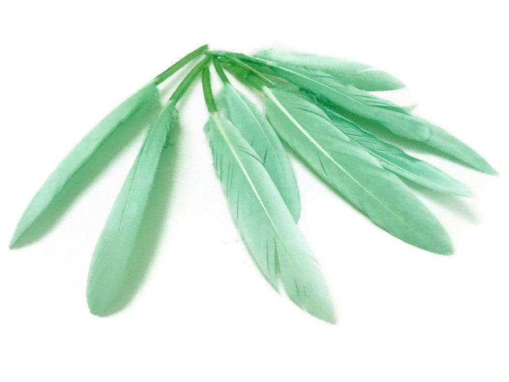 1 Pack - Aqua Green Dyed Duck Cochettes Loose Wing Quill Feather 0.30 Oz.