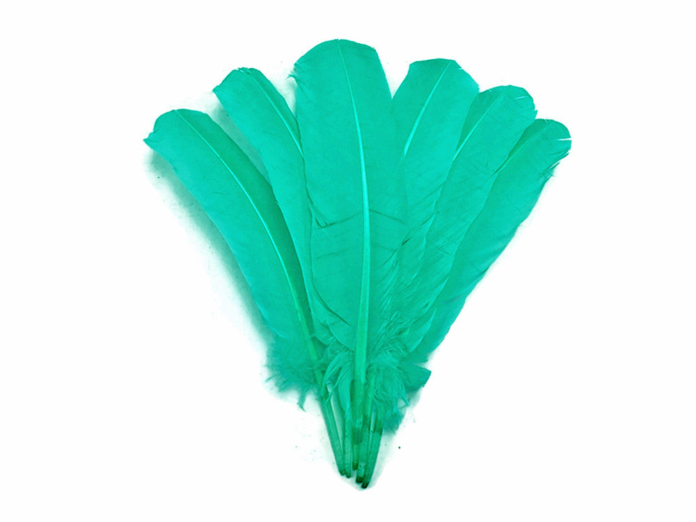 6 Pieces - Aqua Green Turkey Rounds Secondary Wing Quill Feathers