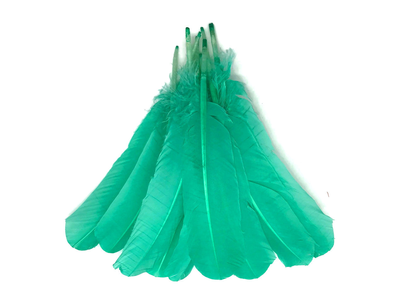 6 Pieces - Aqua Green Turkey Rounds Secondary Wing Quill Feathers