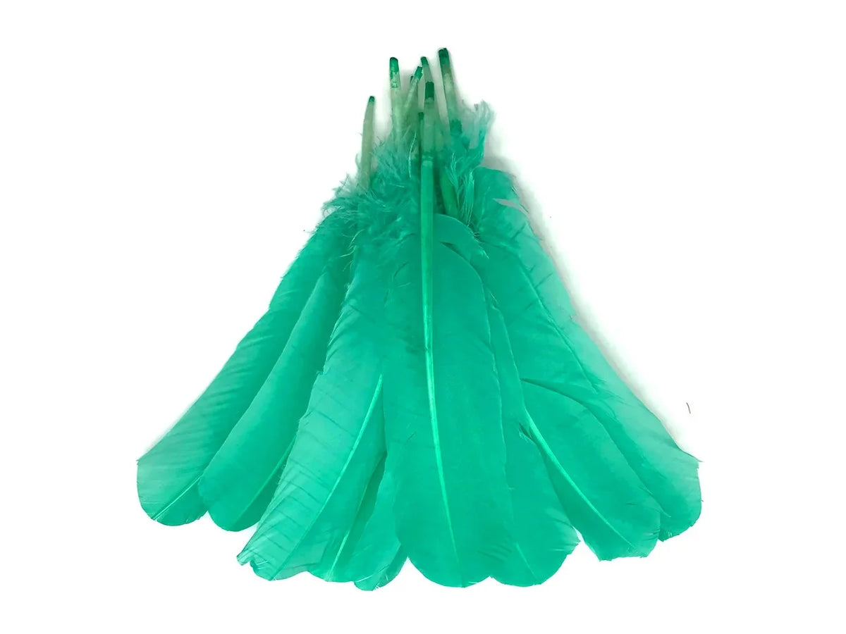 Bundle of vibrant teal green feathers for DIY crafts and fashion accessories.