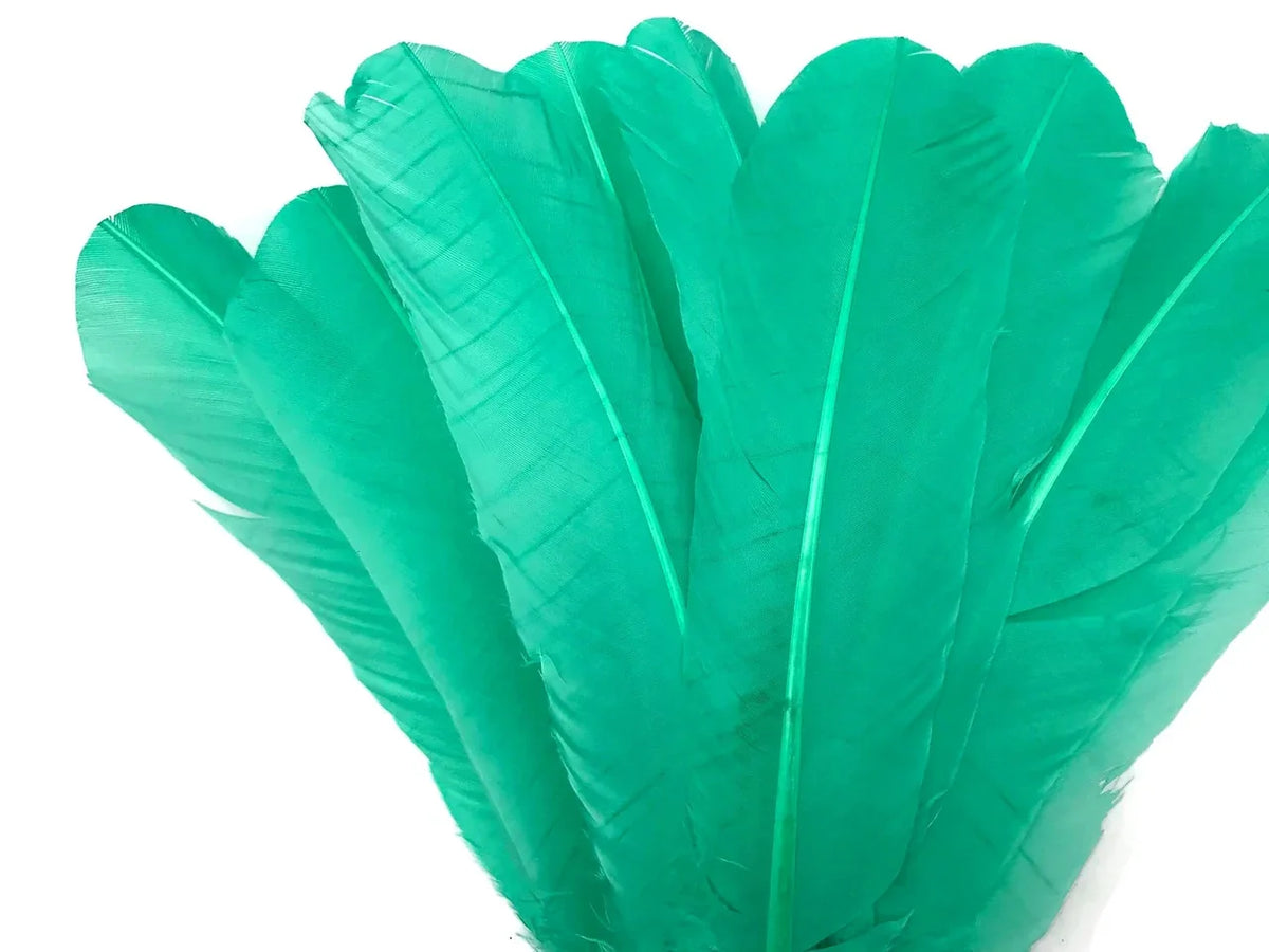 Vibrant teal green feathers for DIY crafts and fashion decor on a white background.