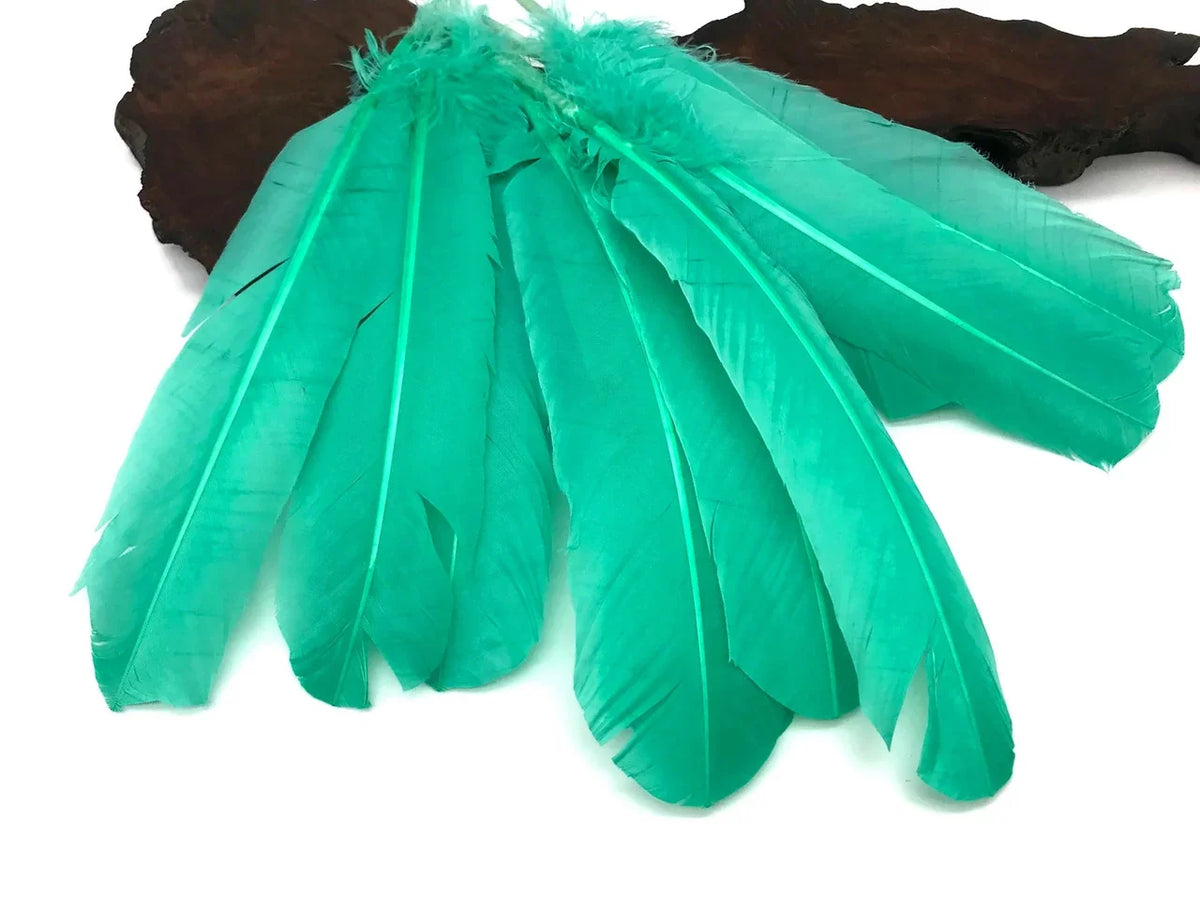 Vibrant teal dyed feathers for DIY crafts and fashion accessories.