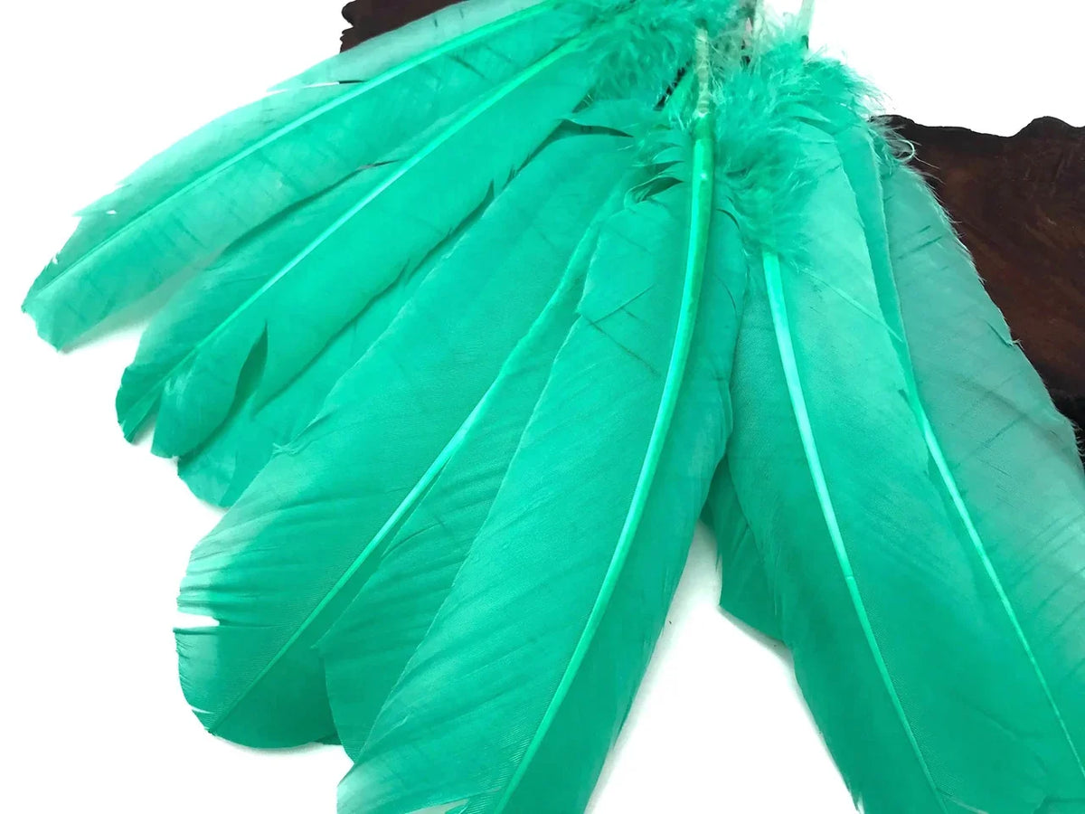 Vibrant turquoise teal feathers for DIY crafts and fashion accessories.