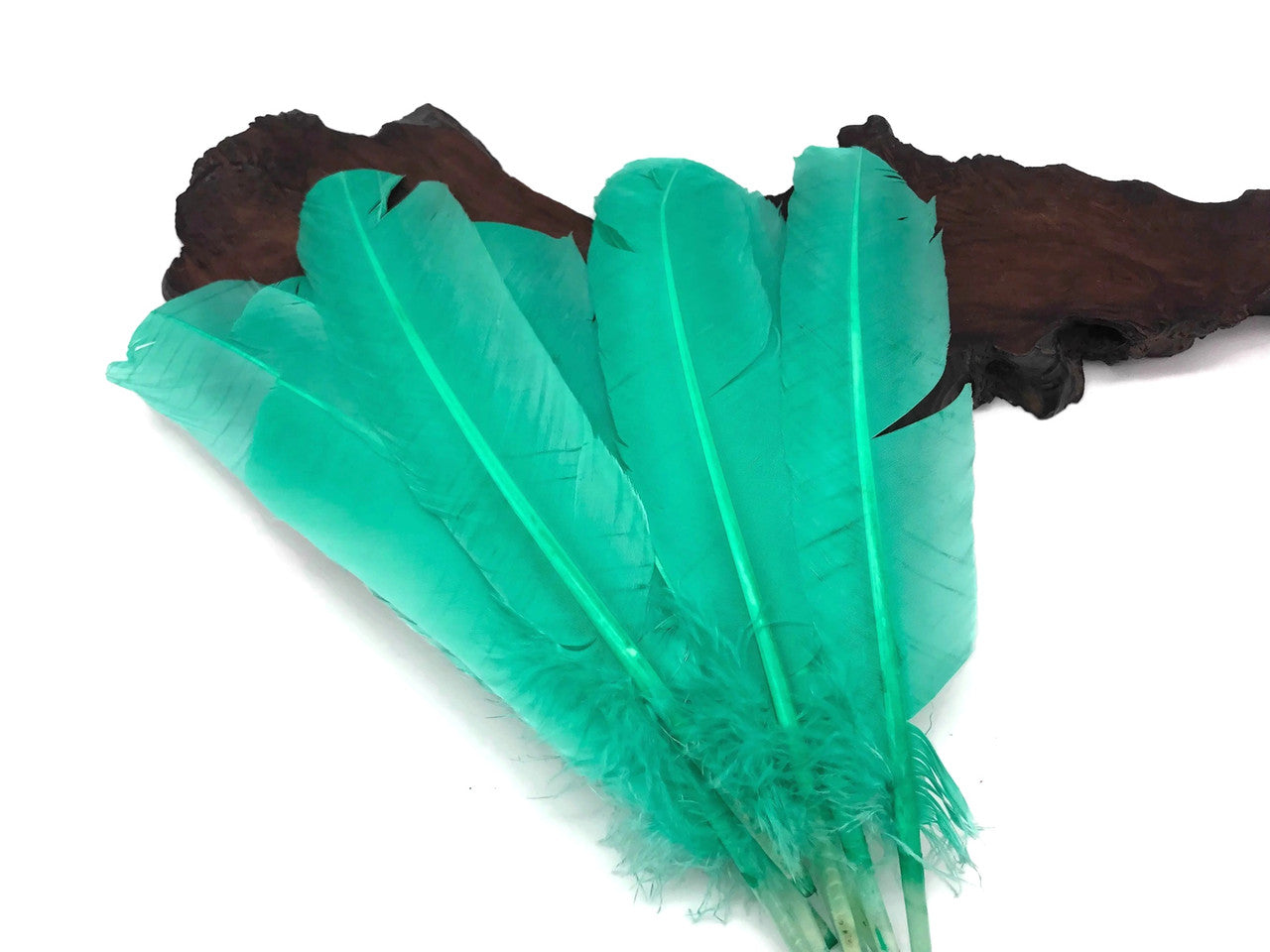 1/4 Lb - Aqua Green Turkey Tom Rounds Secondary Wing Quill Wholesale Feathers (Bulk)