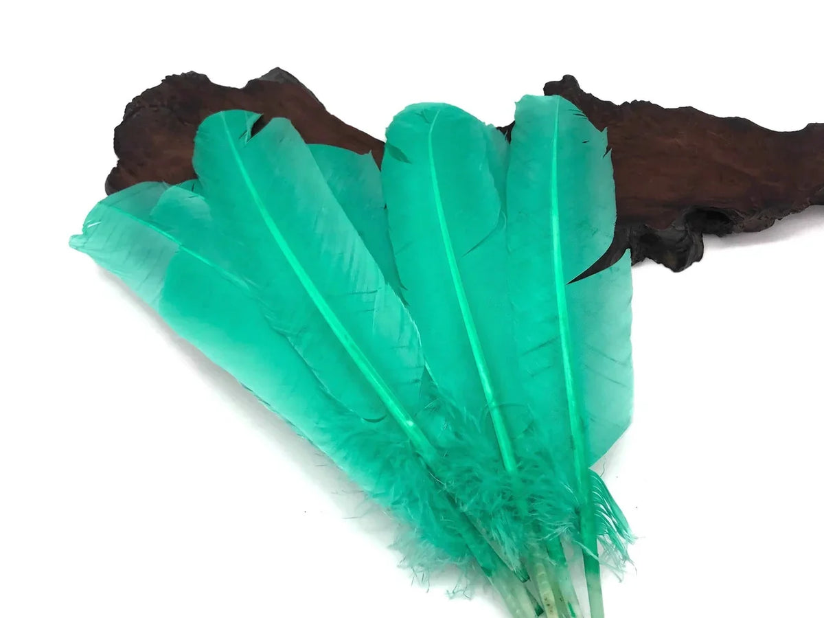 Vibrant teal dyed craft feathers arranged on a dark wood piece.