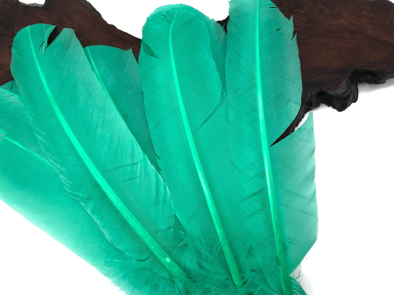 6 Pieces - Aqua Green Turkey Rounds Secondary Wing Quill Feathers