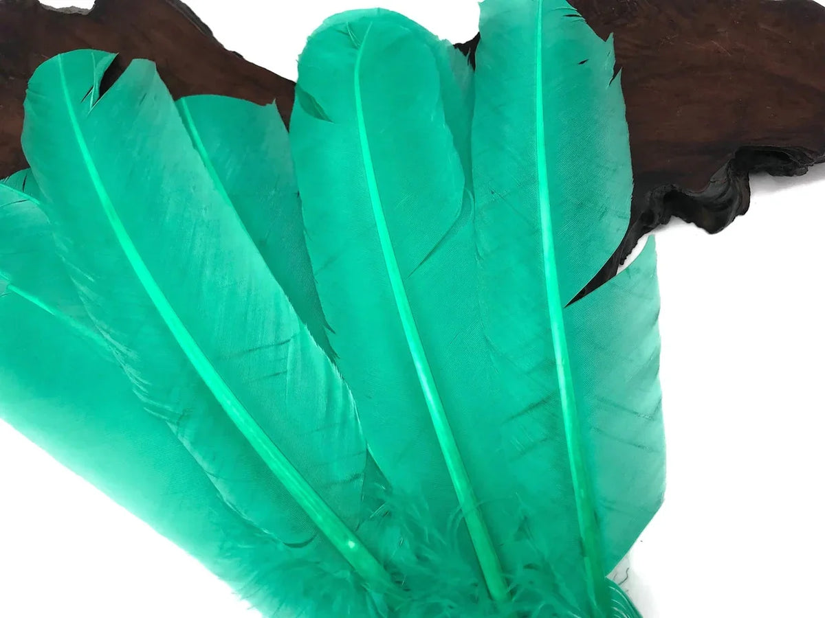 Vibrant teal dyed feathers for DIY crafts, fashion accessories, and creative décor.