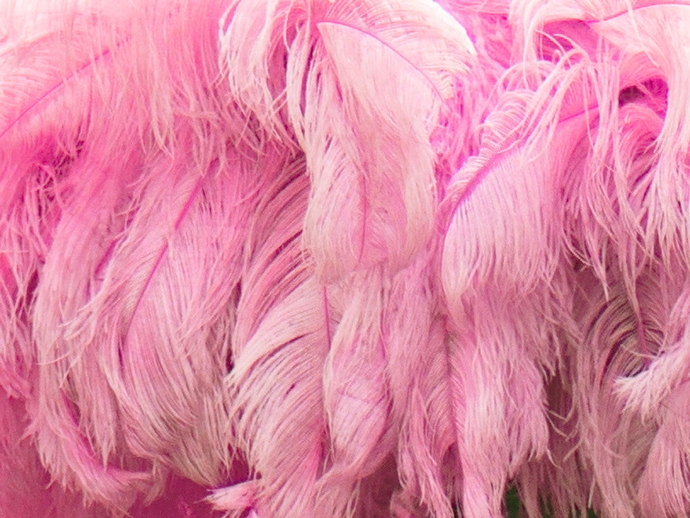 2 Pieces - 18-24" Baby Pink Large Prime Grade Ostrich Wing Plume Centerpiece Feathers