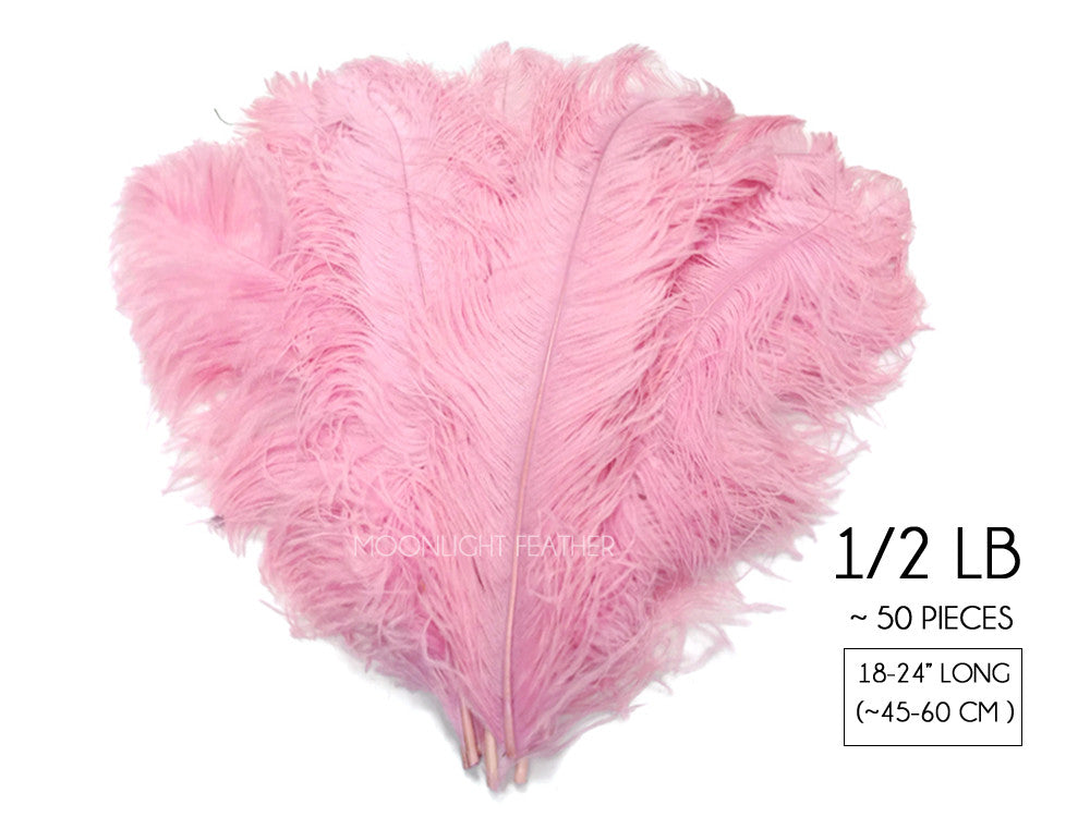 1/2 Lb. - 18-24" Baby Pink Large Ostrich Wing Plume Wholesale Feathers (Bulk)