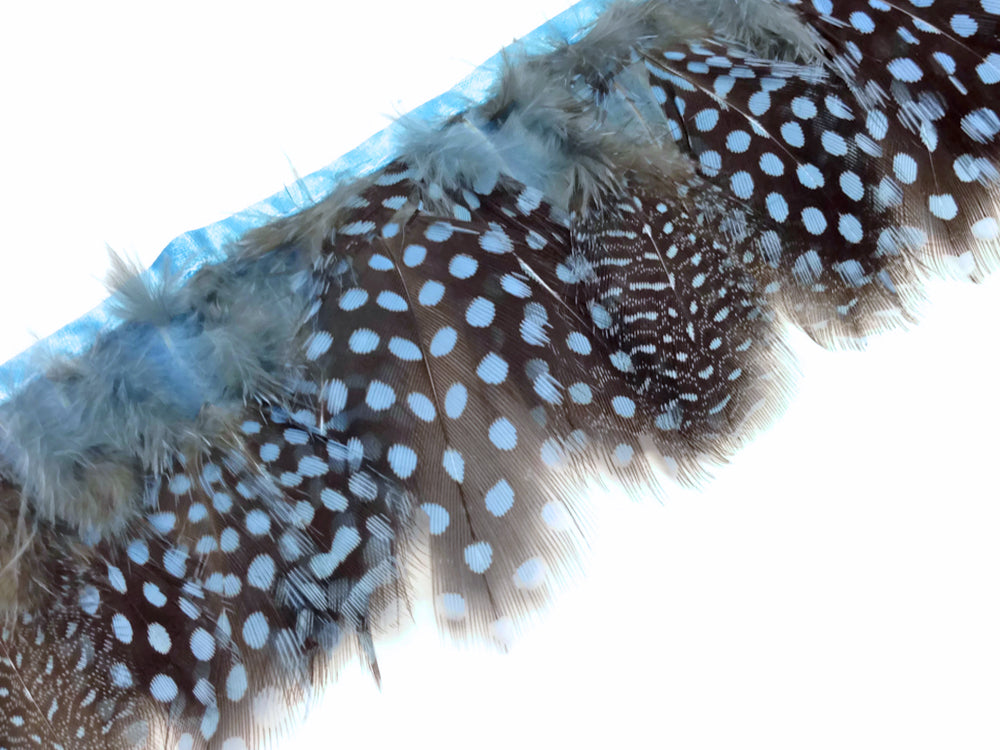 1 Yard - Baby Blue Guinea Hen Polka Dot Plumage Feather Trim