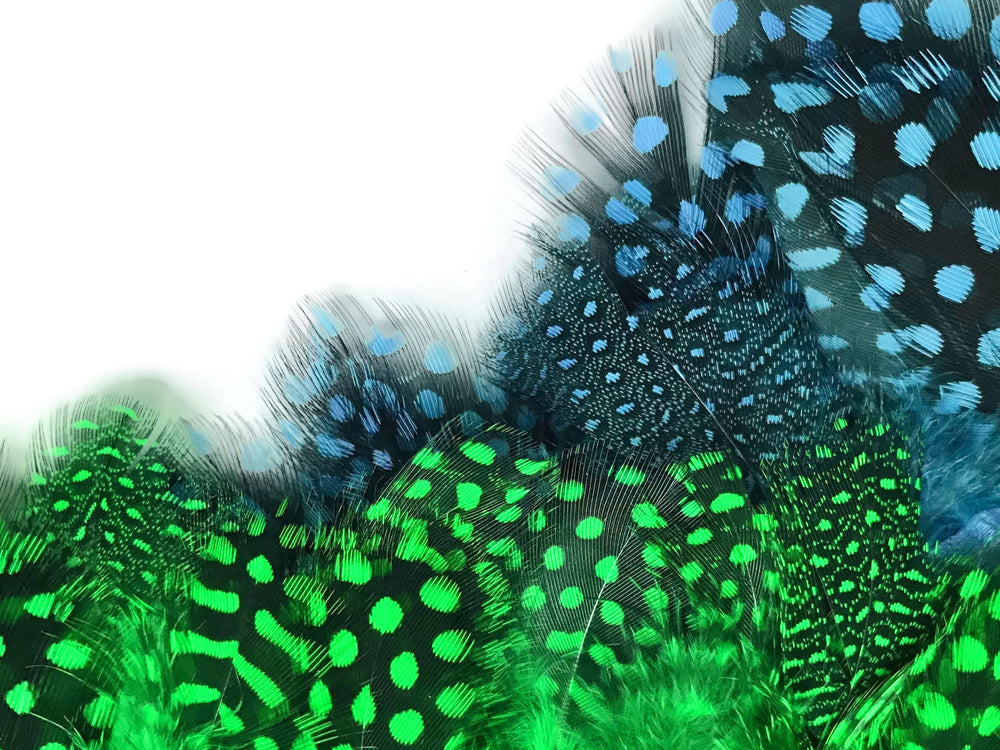 1 Yard - Baby Blue Guinea Hen Polka Dot Plumage Feather Trim