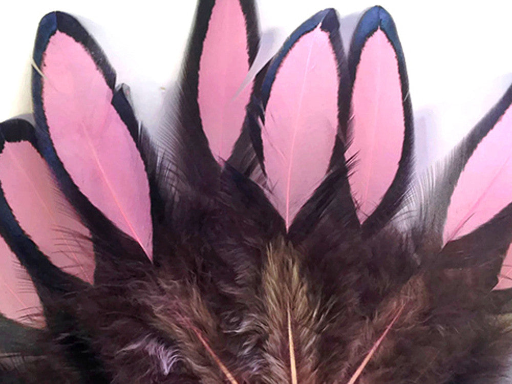 1 Dozen - Light Pink Whiting Farms Laced Hen Saddle Feathers