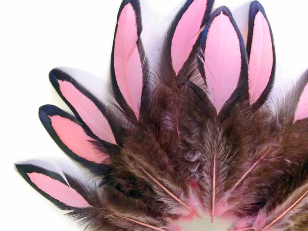 1 Dozen - Light Pink Whiting Farms Laced Hen Saddle Feathers