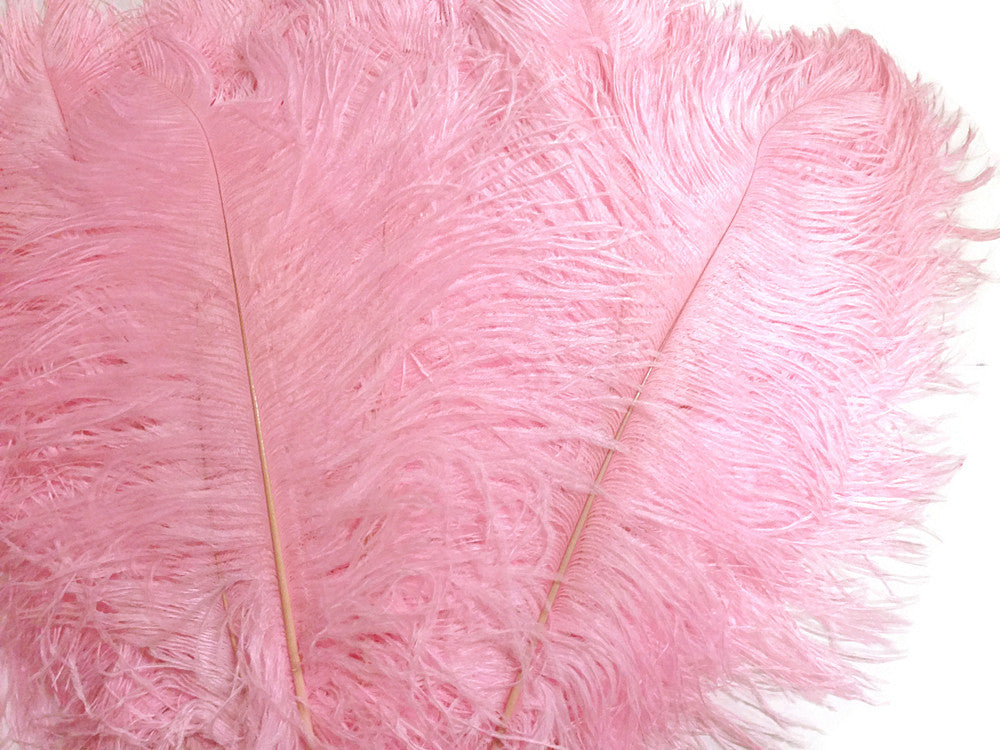 10 Pieces -  12-16" Light Pink Dyed Ostrich Tail Fancy Feathers