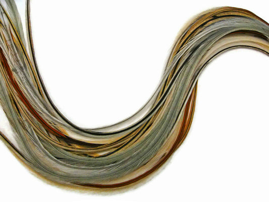 10 Pieces - Badger Mix Thin Long Grizzly Rooster Hair Extension Feathers