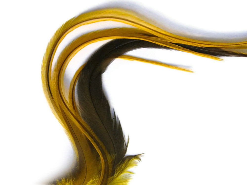 6 Pieces - XL Yellow Badger Thick Long  Whiting Farm Rooster Saddle Hair Extension Feathers