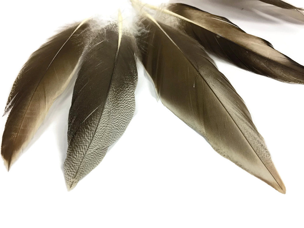 4 Pieces - Natural Barred Mallard Duck Flank Wing Feathers 