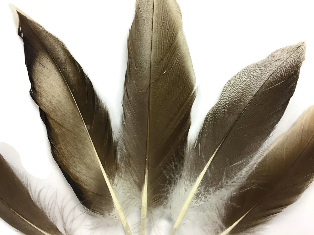 4 Pieces - Natural Barred Mallard Duck Flank Wing Feathers 