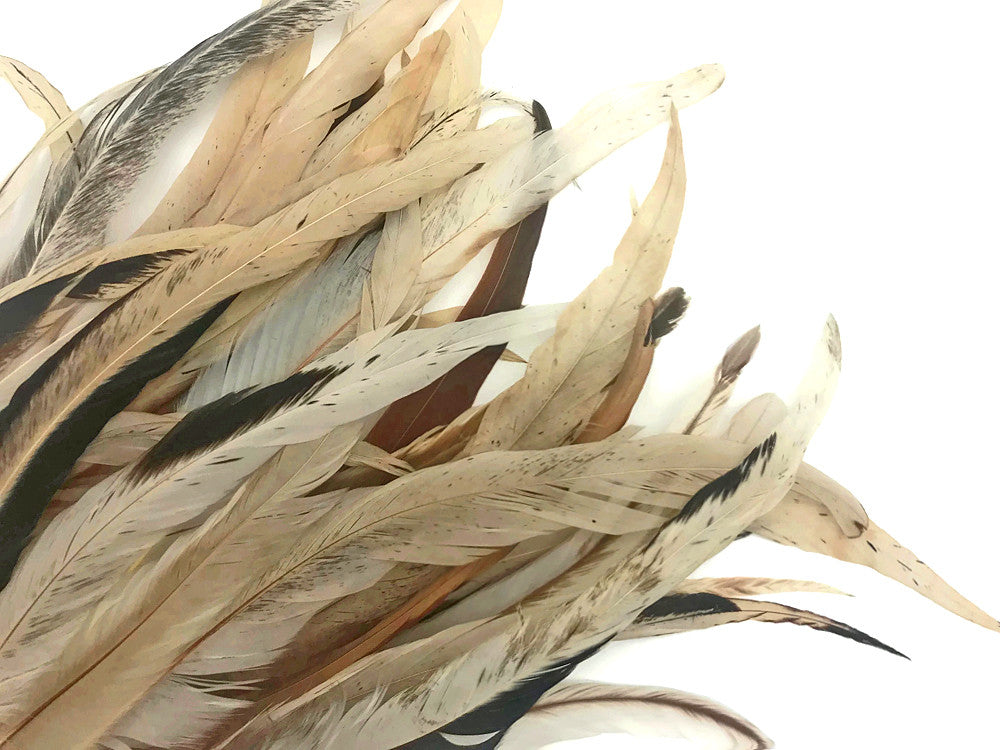 1 Pack -  10-14" Natural Beige Mix Coquetail Strung Rooster Feathers 0.25 Oz.