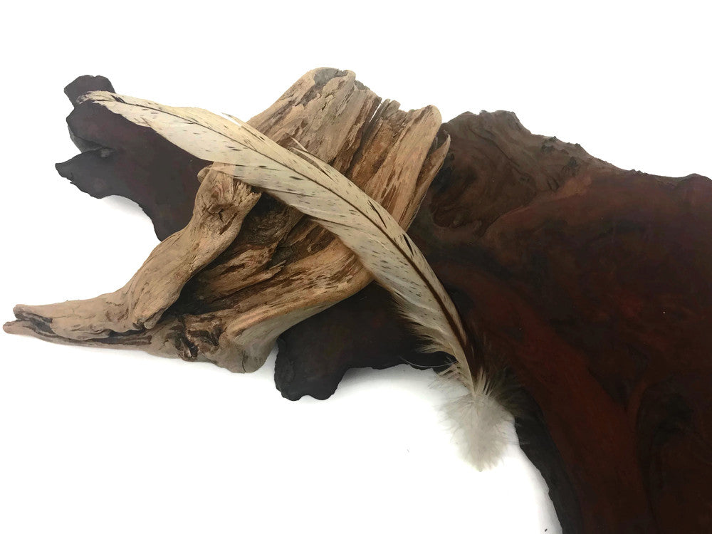 Wholesale Pack - 10-14" Natural Beige Mix Coque Tail Strung Rooster Feathers 2 Oz. (Bulk)