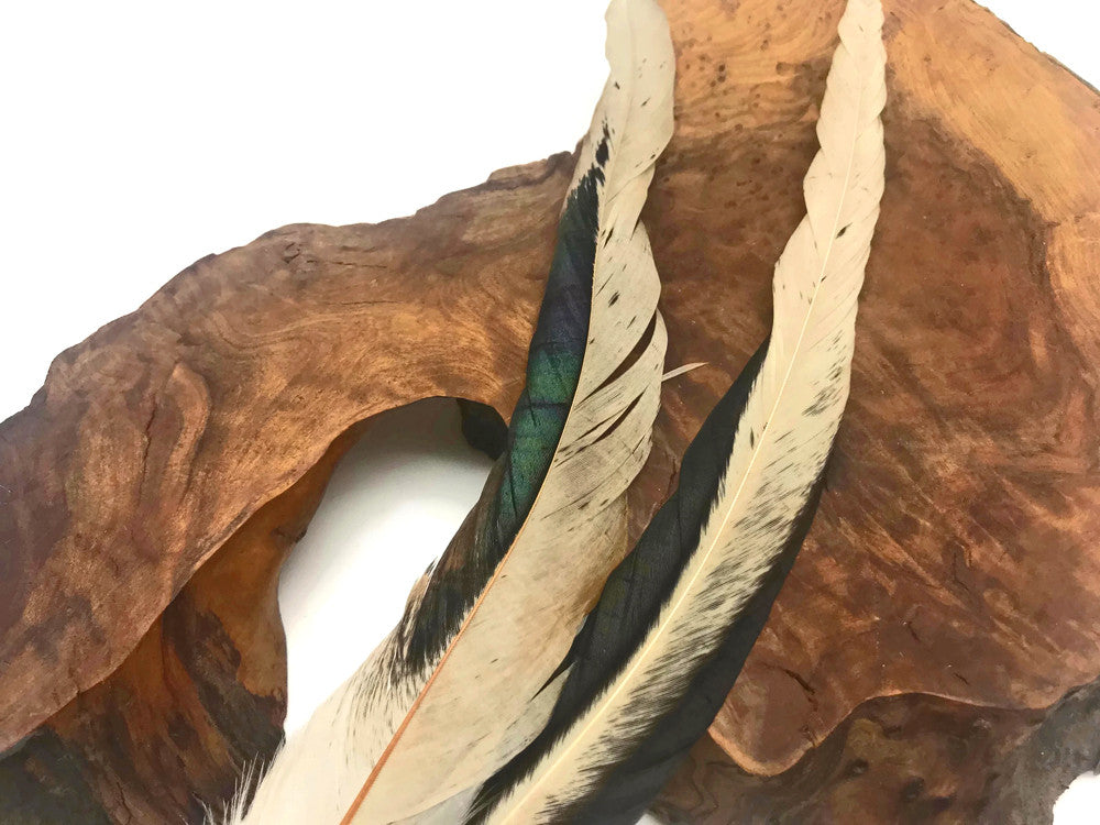 Wholesale Pack - 10-14" Natural Beige Mix Coque Tail Strung Rooster Feathers 2 Oz. (Bulk)