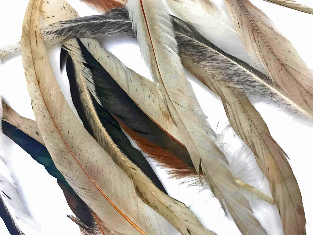 1 Pack -  10-14" Natural Beige Mix Coquetail Strung Rooster Feathers 0.25 Oz.