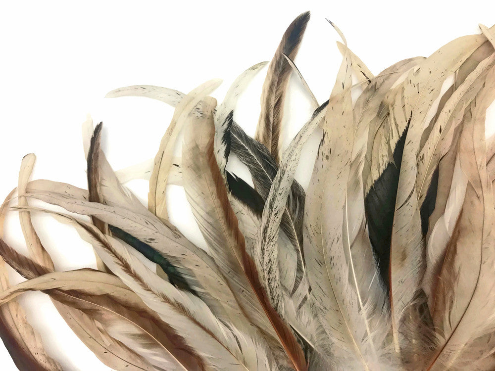 Wholesale Pack - 10-14" Natural Beige Mix Coque Tail Strung Rooster Feathers 2 Oz. (Bulk)