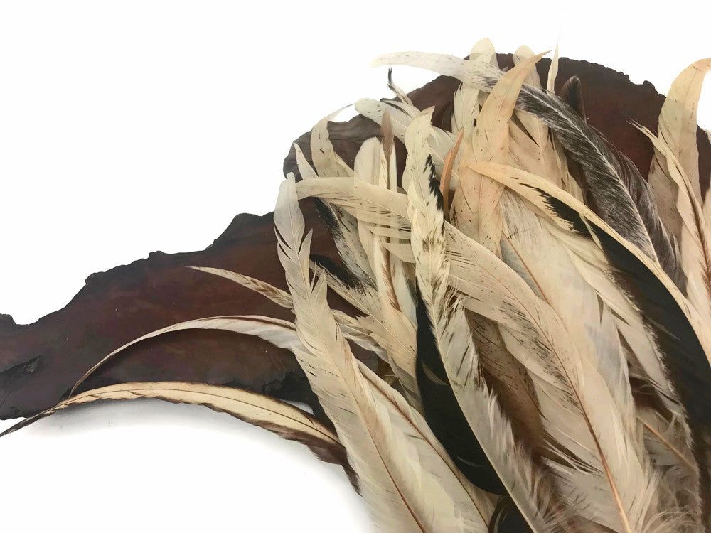 Wholesale Pack - 10-14" Natural Beige Mix Coque Tail Strung Rooster Feathers 2 Oz. (Bulk)