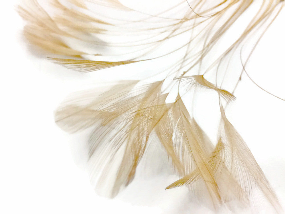 1 Dozen - Beige Stripped Rooster Neck Hackle Eyelash Feather