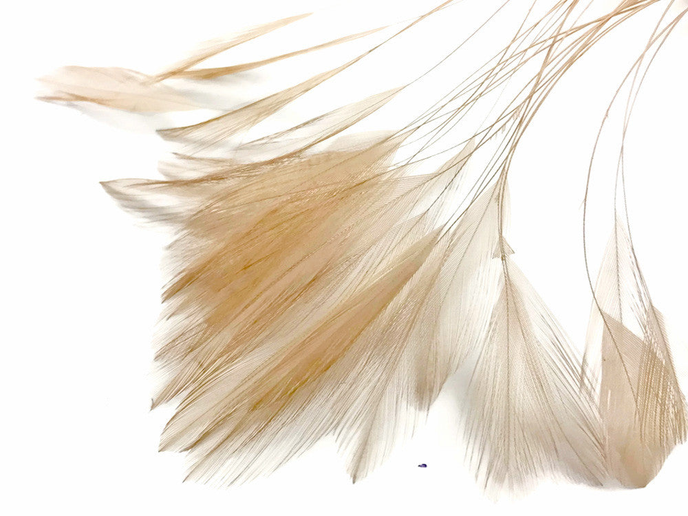 1 Dozen - Beige Stripped Rooster Neck Hackle Eyelash Feather