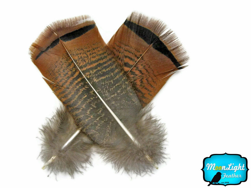 5 Pieces - Big Natural Brown Wild Barred Turkey Flat Tail Feathers