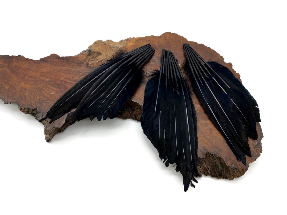 1 Piece - Black Dyed Duck Pointer Wing Fan Trim Pad