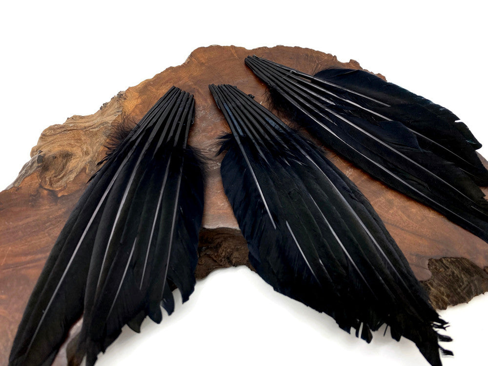 1 Piece - Black Dyed Duck Pointer Wing Fan Trim Pad